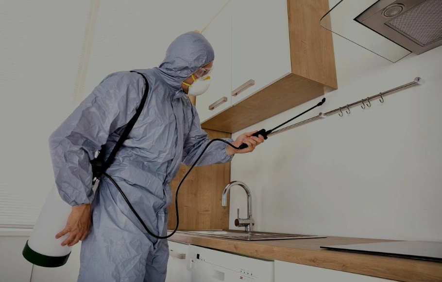 Reedley pest managment